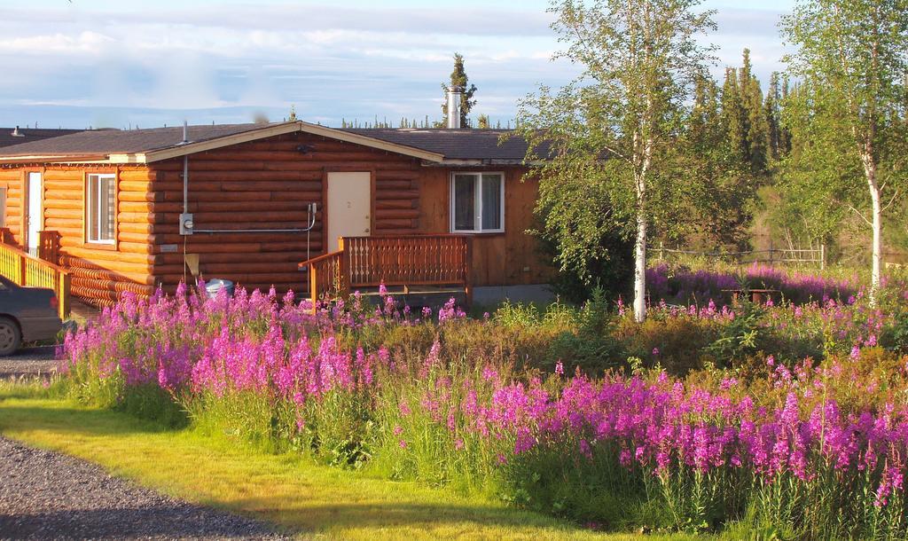 إنوفيك Arctic Chalet Resort المظهر الخارجي الصورة