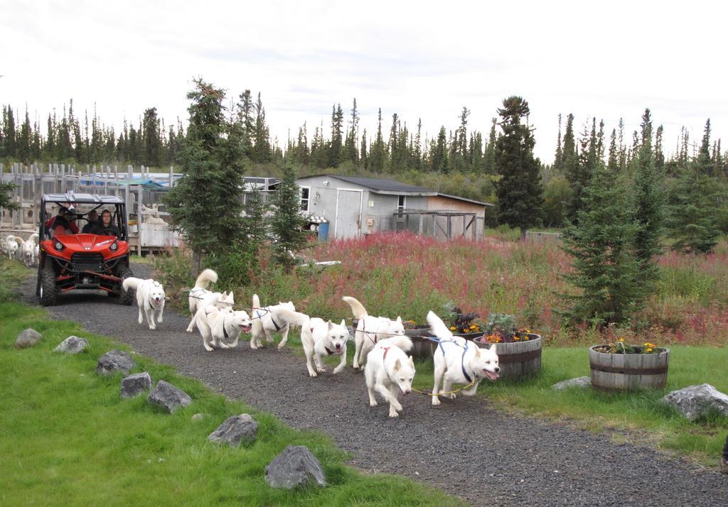 إنوفيك Arctic Chalet Resort المظهر الخارجي الصورة